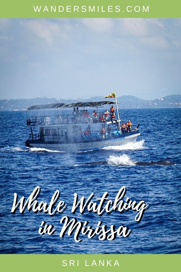 Guide to responsible whale watching in Mirissa, Sri Lanka