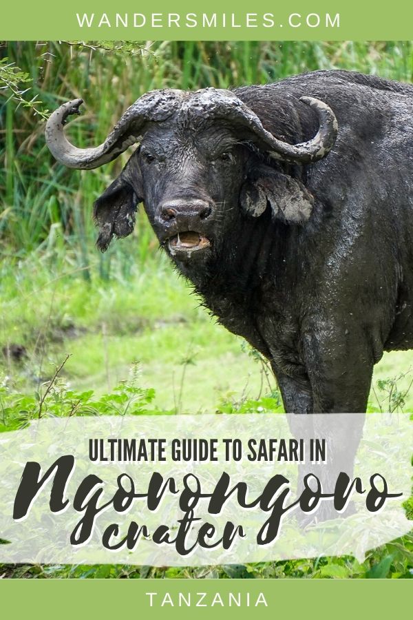 Ultimate guide to safari in Tanzania’s Ngorongoro Crater