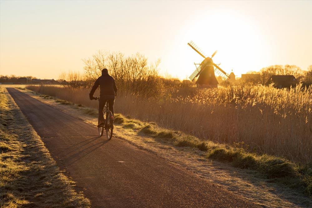 Cycling in the National Parks - Best Outdoor Activities in the Netherlands