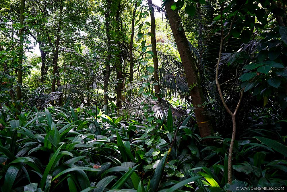 Botanical Garden of Medellín