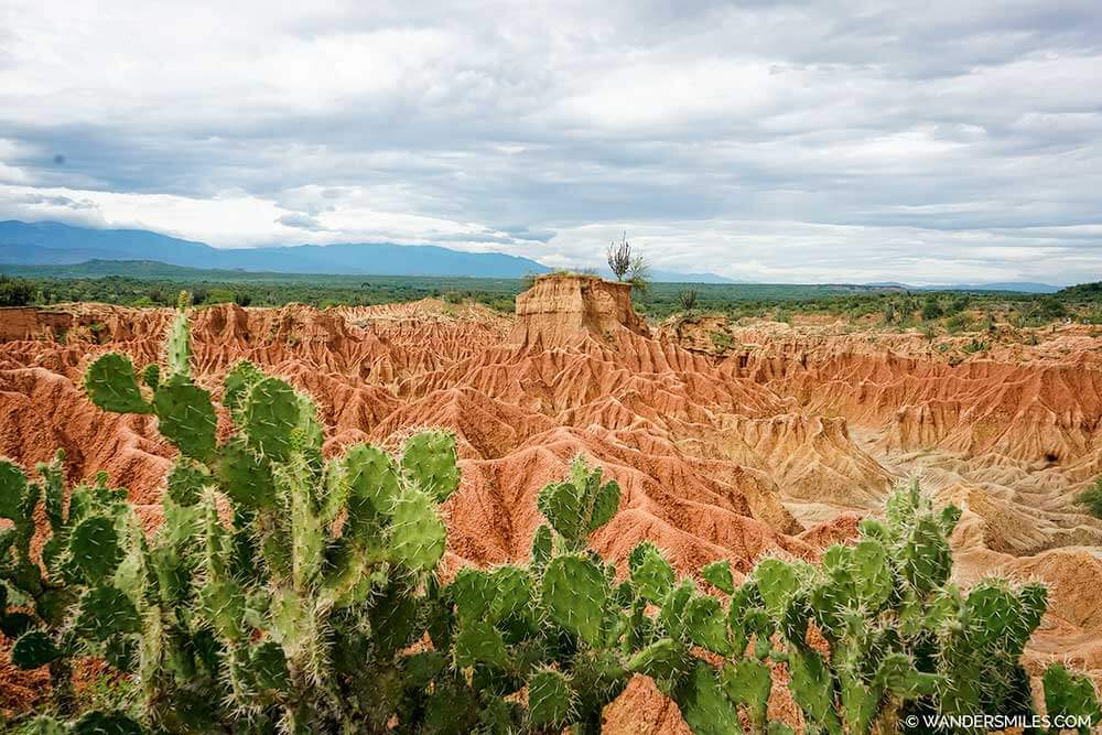 Views of the Tatacoa Red Desert with a cactus-Travel guide to Tatacoa Desert