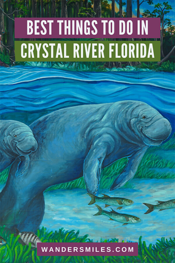 Itinerary of incredible things to do in Crystal River Florida - PIN showing Crystal River Mural