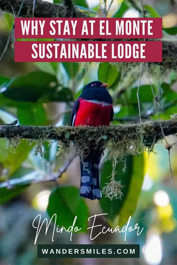 Review of El Monte Sustainable Lodge. Eco-travel to Mindo Cloud Forest Ecuador