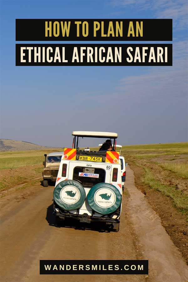 Best Practices for an Ethical African Safari