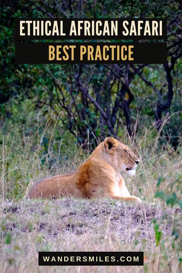 How to Plan an Ethical African Safari