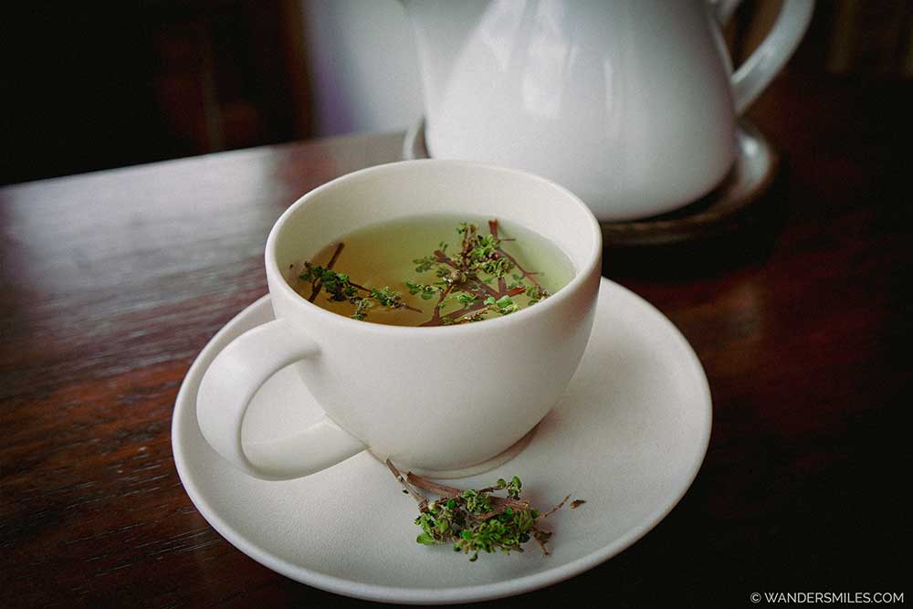 Wild Muña Tea - Traditional drink from Peru