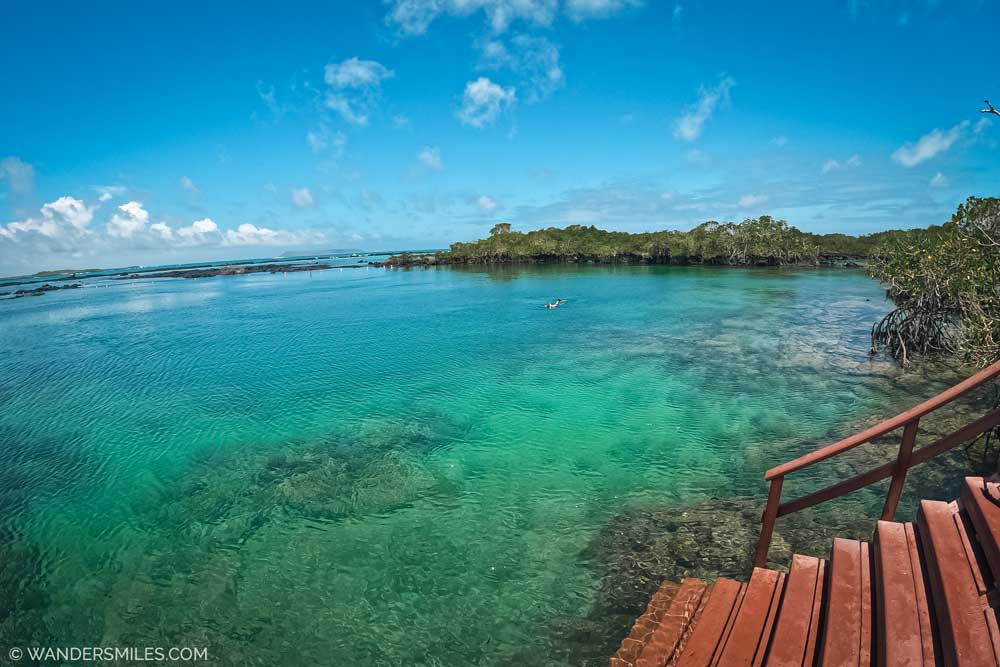 Photo with wooden steps down to blue-turquoise Concha de Perla Lagoon, Isabela Island, Galapagos