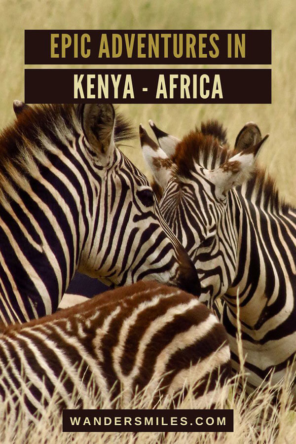 Photo of black and white striped zebras huddled together in the Masai Mara. Text overlaid "EPIC ADVENTURES IN KENYA AFRICA"