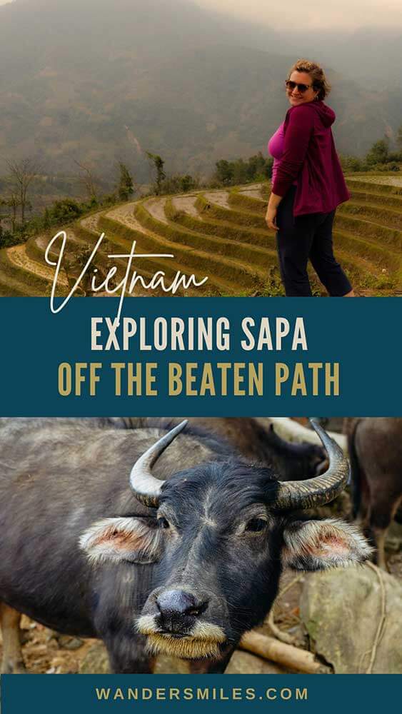 Photo of a woman by the rice terraces in Sapa, Vietnam. Photo 2 shows a buffalo with horns facing the camera. Text overlaid "EXPLORING SAPA OFF THE BEATEN PATH NORTH VIETNAM"