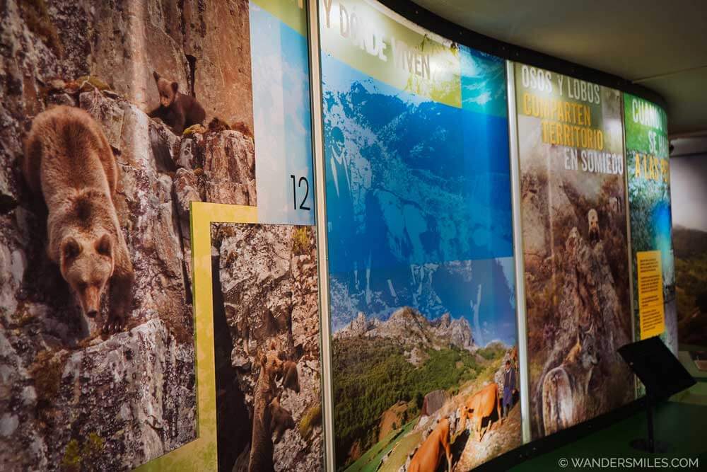 Education boards about Cantabrian brown bears at Casa del Oso Interpretation Centre in Pola de Someido, Asturias