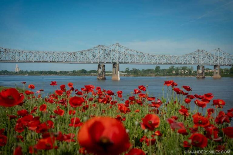Views of the Natchez–Vidalia Bridge over the Mississippi River from Natchez Bluff Park