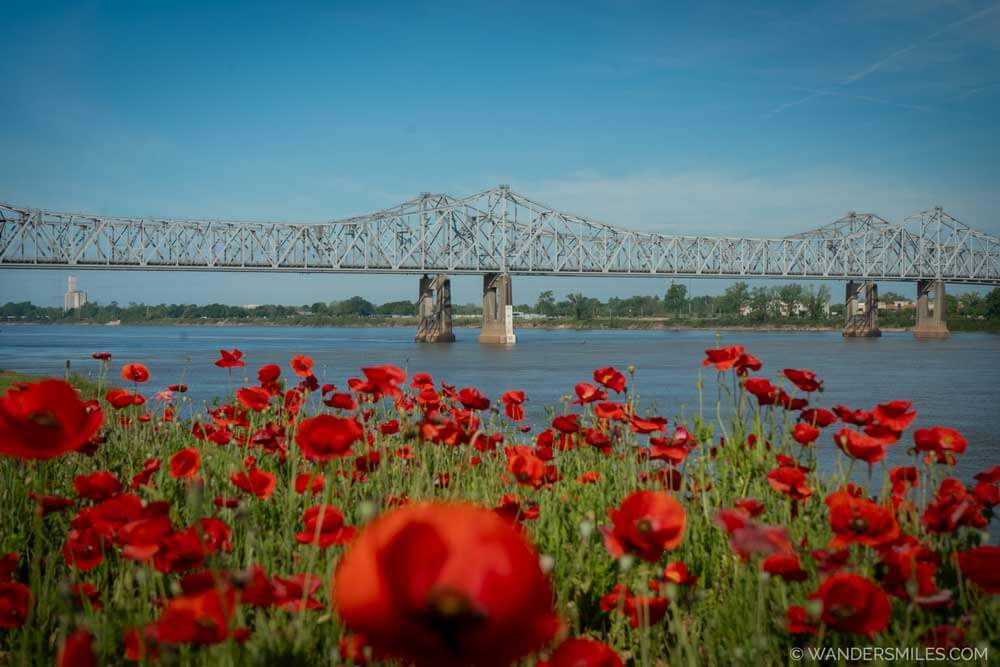 Views of the Natchez–Vidalia Bridge over the Mississippi River from Natchez Bluff Park