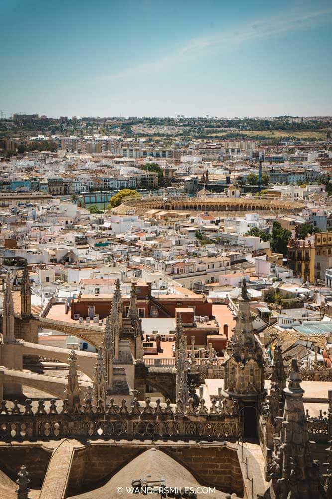 Belfry views over sprawling Seville, including the bullring in the distance